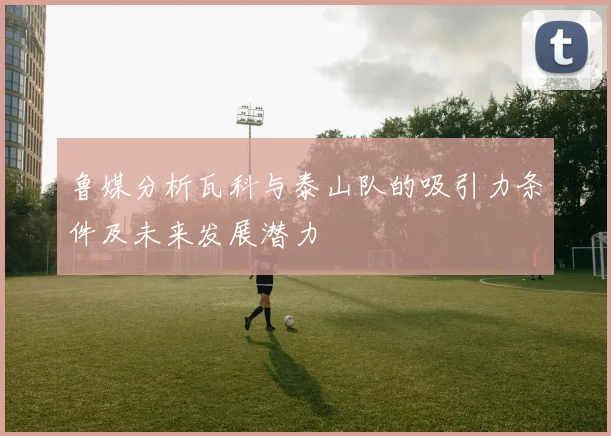 鲁媒分析瓦科与泰山队的吸引力条件及未来发展潜力