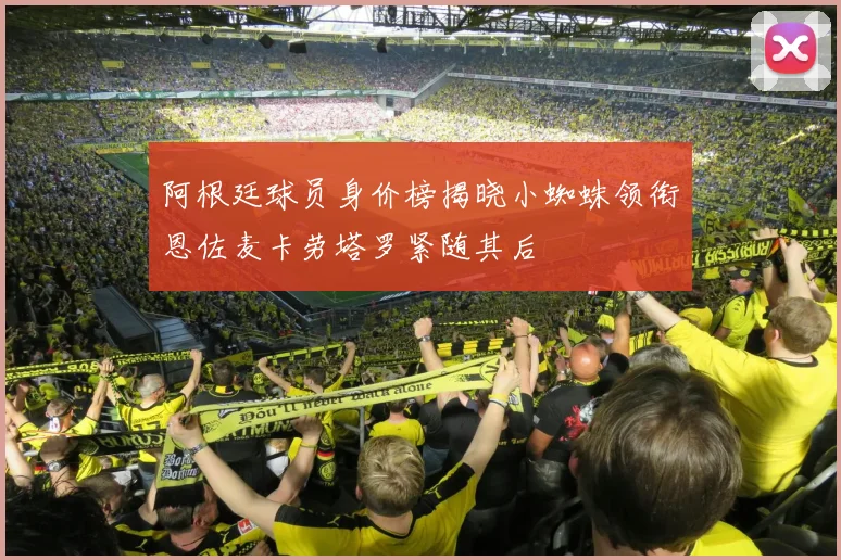 阿根廷球员身价榜揭晓小蜘蛛领衔恩佐麦卡劳塔罗紧随其后